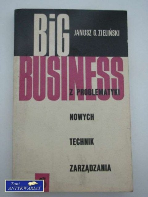 BIG BUSINESS Z PROBLEMATYKI NOWYCH TECHNIK ZARZĄDZANIA