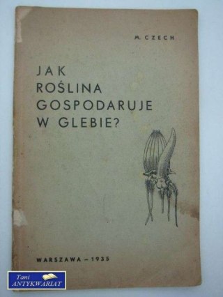 JAK ROŚLINA GOSPODARUJE W GLEBIE
