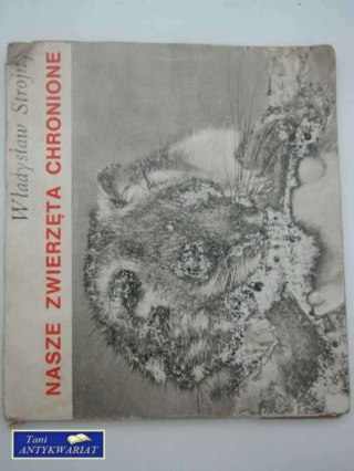 NASZE ZWIERZĘTA CHRONIONE