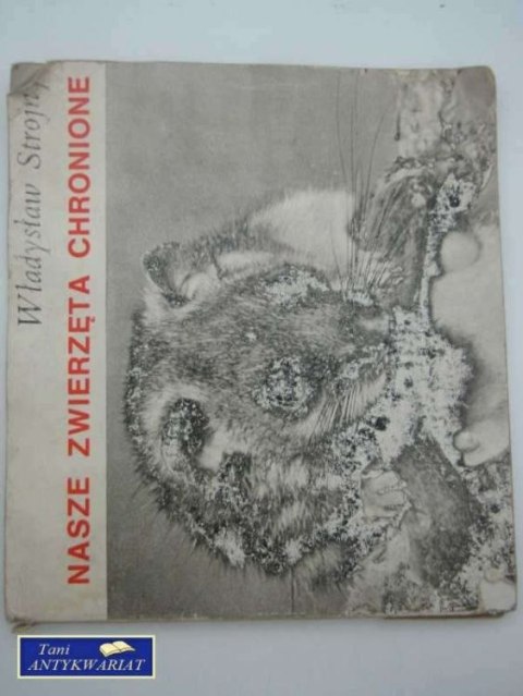 NASZE ZWIERZĘTA CHRONIONE