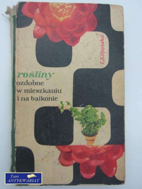 ROŚLINY OZDOBNE W MIESZKANIU I NA BALKONIE