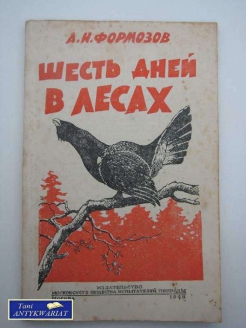 SZEŚĆ DNI W LASACH