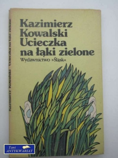 UCIECZKA NA ŁĄKI ZIELONE