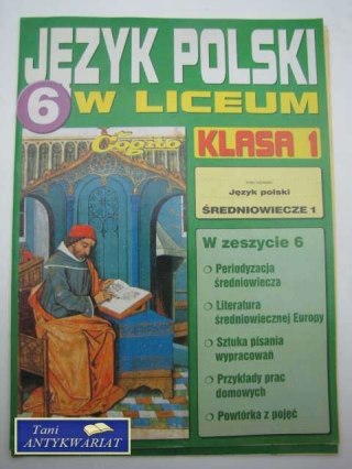 JĘZYK POLSKI W LICEUM NR.6