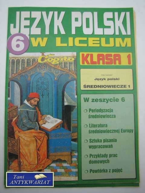 JĘZYK POLSKI W LICEUM NR.6