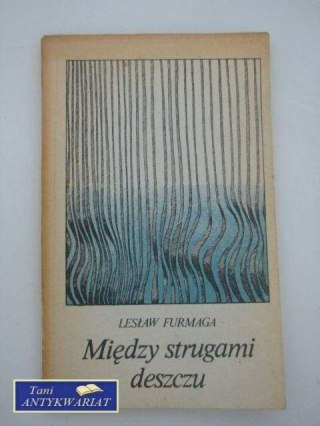 MIĘDZY STRUGAMI DESZCZU