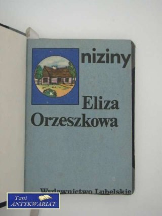 NIZINY
