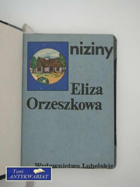 NIZINY