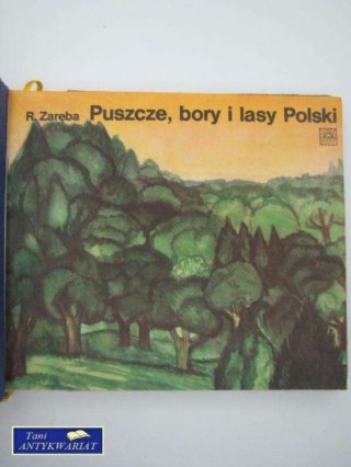 PUSZCZE BORY I LASY POLSKI