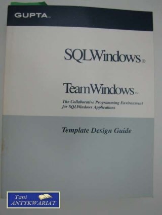 TEAM WINDOWS TEMPLATE DESIGN GUIDE