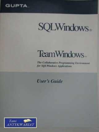 TEAM WINDOWS USER GUIDES