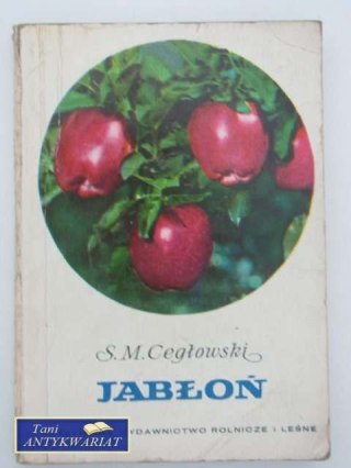 JABŁOŃ
