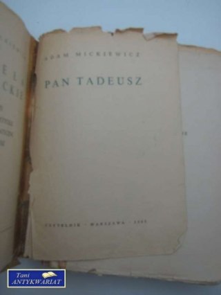 PAN TADEUSZ