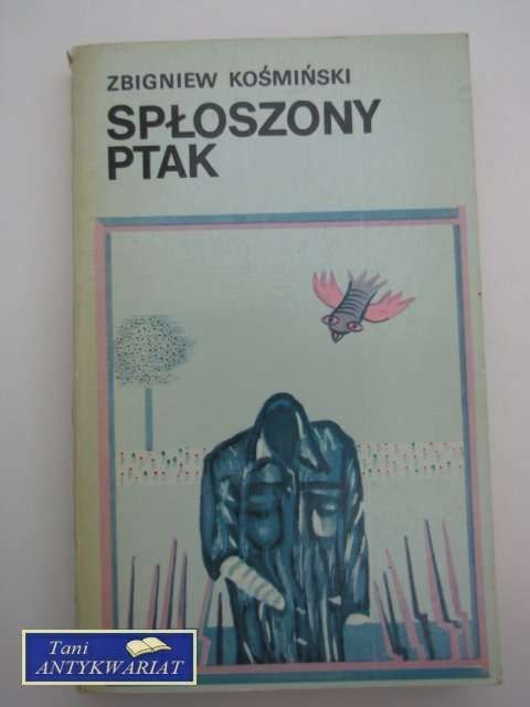 SPŁOSZONY PTAK