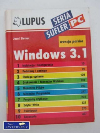 WINDOWS 3.1