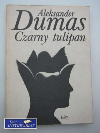 CZARNY TULIPAN