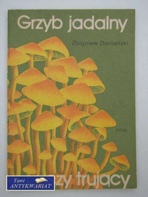 GRZYB JADALNY CZY TRUJĄCY GRZYB JADALNY CZY TRUJĄCY