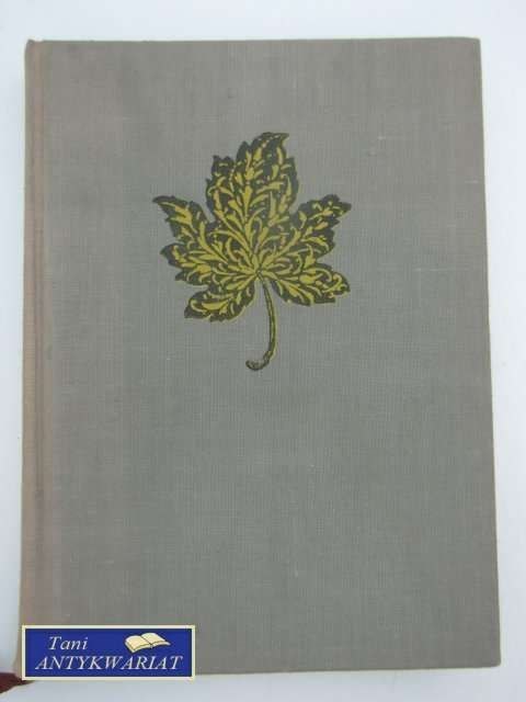 NAD POZIOMY powieść z roku 1863