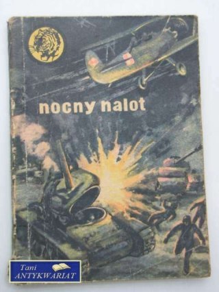 NOCNY NALOT