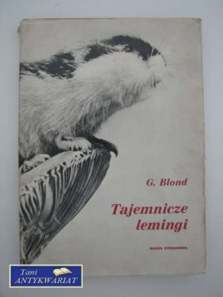 TAJEMNICZE LEMINGI