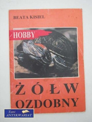 ŻÓŁW OZDOBNY