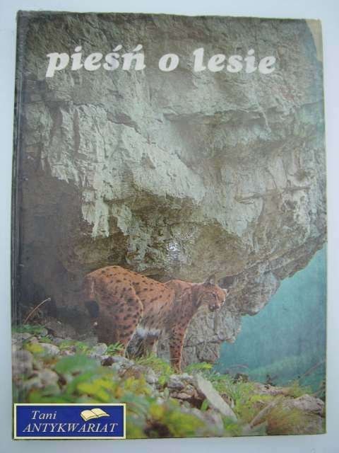 PIEŚŃ O LESIE PIEŚŃ O LESIE
