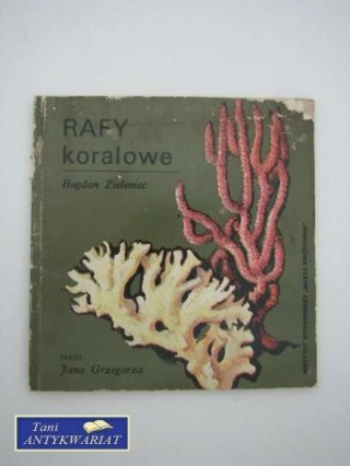 RAFY KORALOWE