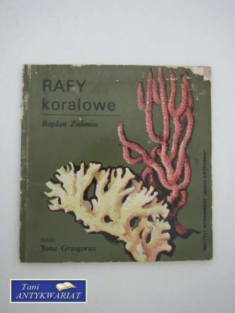 RAFY KORALOWE