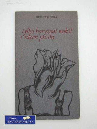 TYLKO HORYZONT WOKÓŁ I RDZEŃ PUSTKI...