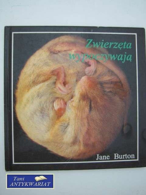 ZWIERZĘTA WYPOCZYWAJĄ ZWIERZĘTA WYPOCZYWAJĄ