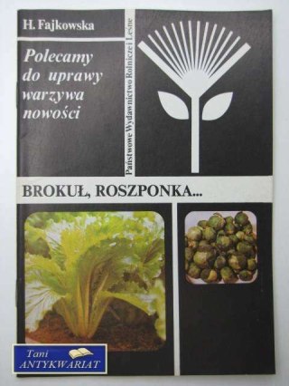 BROKUŁ, ROSZPONKA