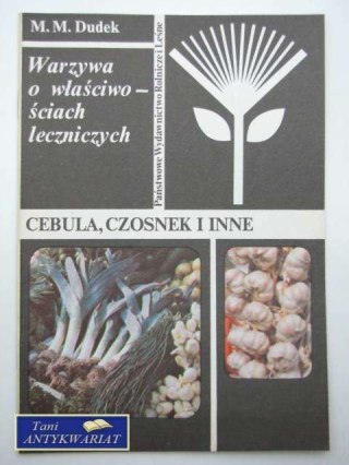 CEBULA, CZOSNEK I INNE