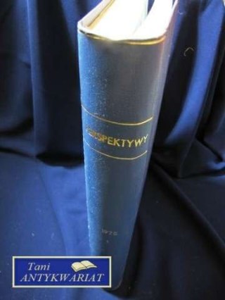 PERSPEKTYWY