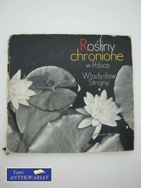 ROŚLINY CHRONIONE W POLSCE