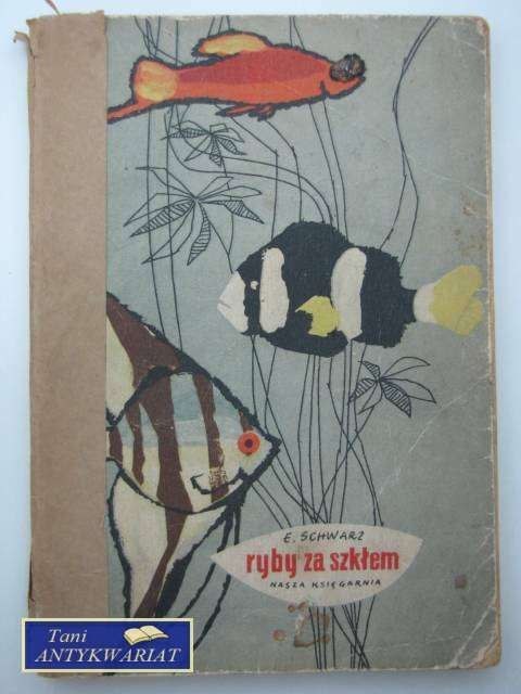 RYBA ZA SZKŁEM