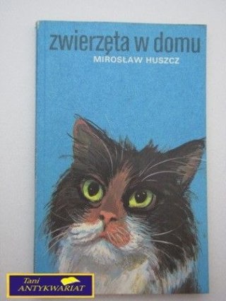 ZWIERZĘTA W DOMU M. Huszcz