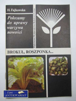 BROKUŁ ROSZPONKA