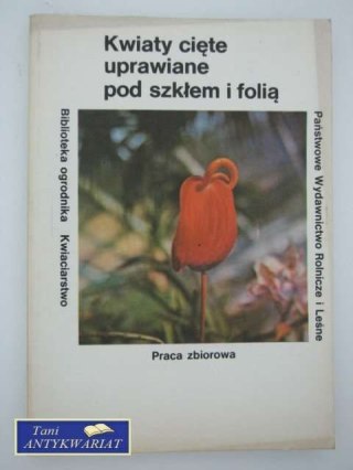 KWIATY CIĘTE UPRAWIANE POD SZKŁEM I FOLIĄ