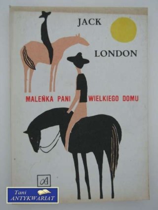 MALEŃKA PANI WIELKIEGO DOMU