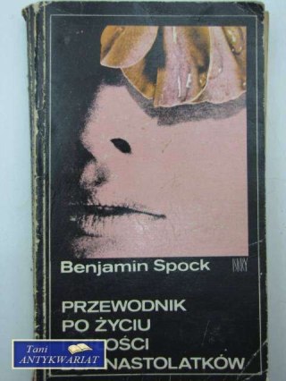 PRZEWODNIK PO ŻYCIU I MIŁOŚCI DLA NASTOLATKÓW