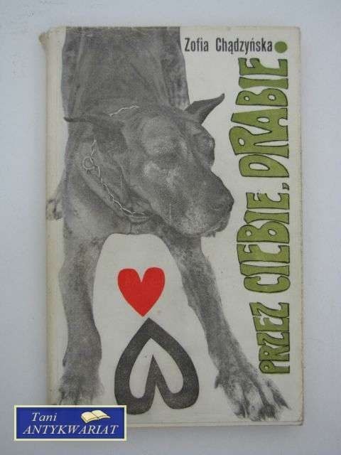 PRZEZ CIEBIE, DRABIE