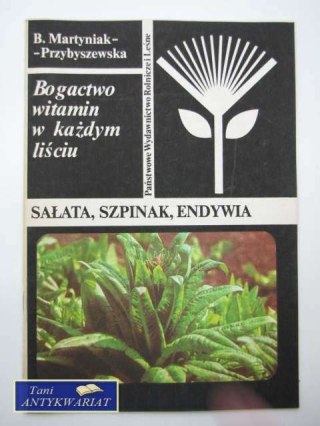 SAŁATA, SZPINAK, ENDYWIA