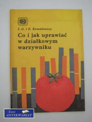 CO I JAK UPRAWIAĆ W DZIAŁKOWYM WARZYWNIKU