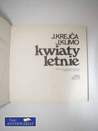 KWIATY LETNIE