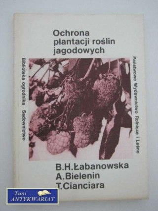 OCHRONA PLANTACJI ROŚLIN JAGODOWYCH