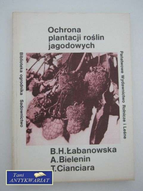 OCHRONA PLANTACJI ROŚLIN JAGODOWYCH