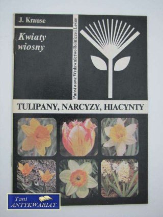 TULIPANY, NARCYZY, HIACYNTY