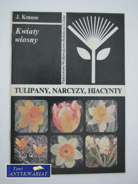 TULIPANY, NARCYZY, HIACYNTY