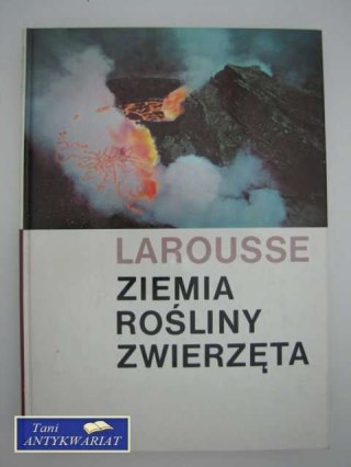 ZIEMIA ROŚLINY ZWIERZĘTA