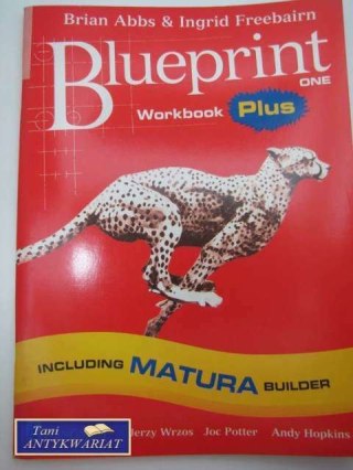 BLUEPRINT ONE WORKBOOK PLUS